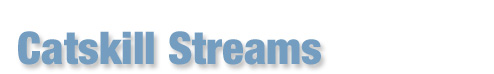 Catskill Streams