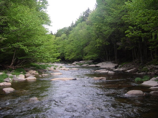 Schoharie Creek