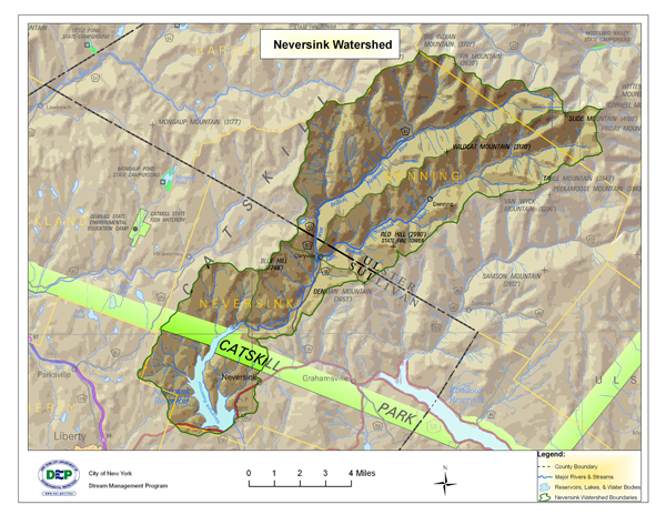 Neversink River Map