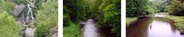 Neversink River Photos